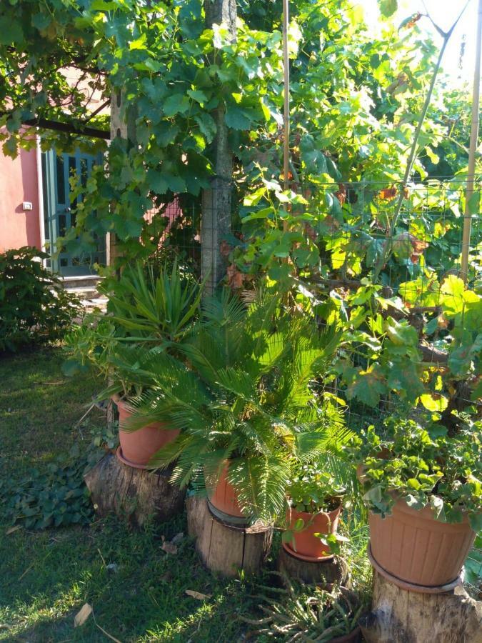 Apartment Bella Di Notte San Giorgio a Liri